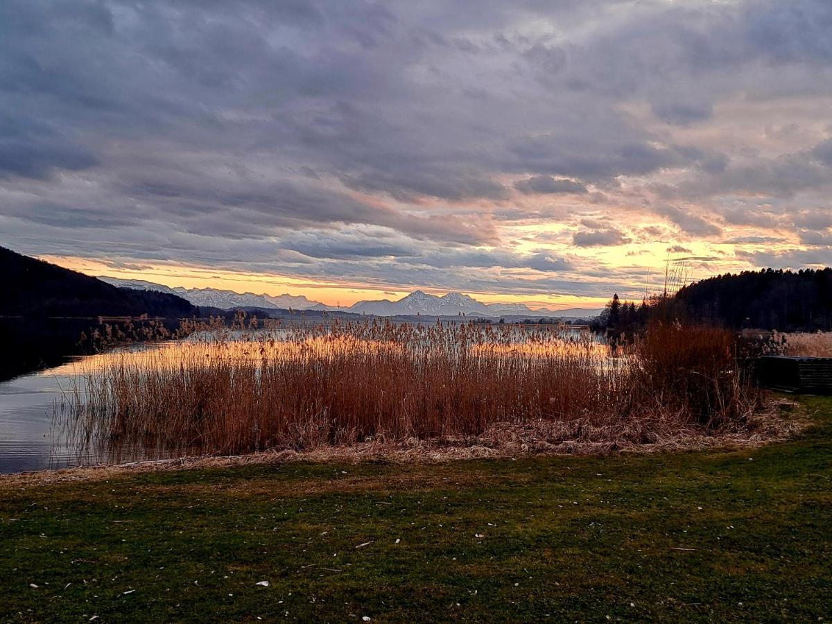 Ferienwohnung Wallersee Neumarkt am Wallersee Εξωτερικό φωτογραφία