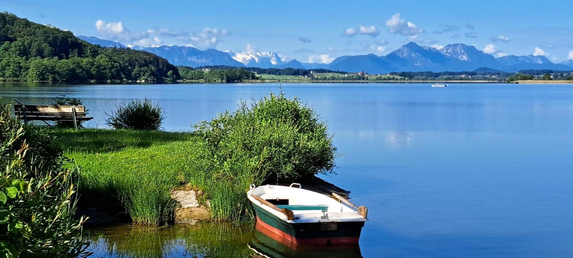 Ferienwohnung Wallersee Neumarkt am Wallersee Εξωτερικό φωτογραφία