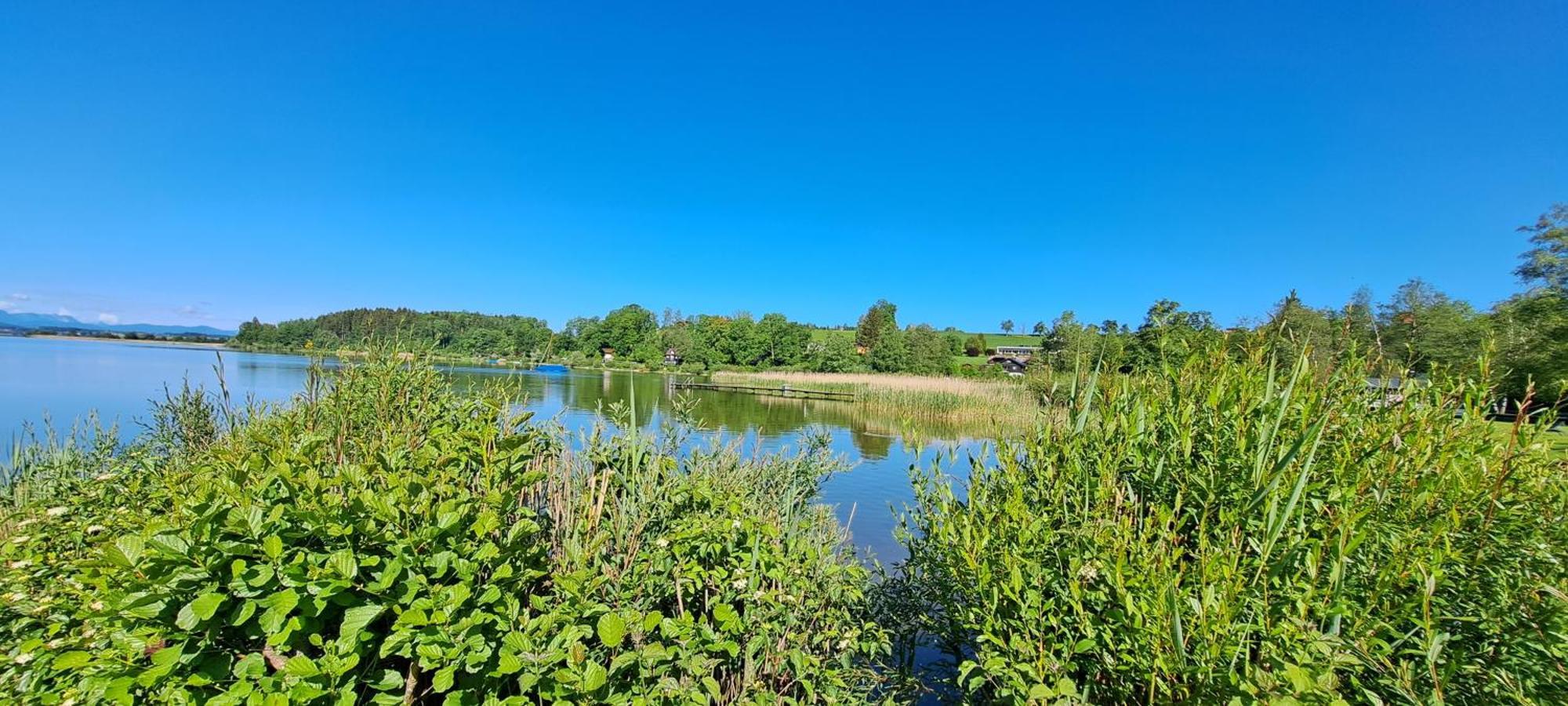 Ferienwohnung Wallersee Neumarkt am Wallersee Εξωτερικό φωτογραφία